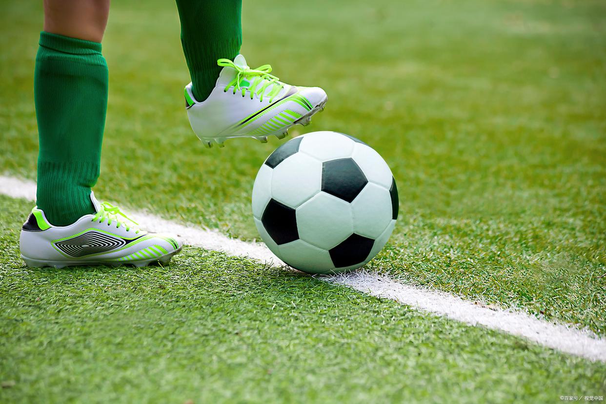 他们的大脑 他们的大脑