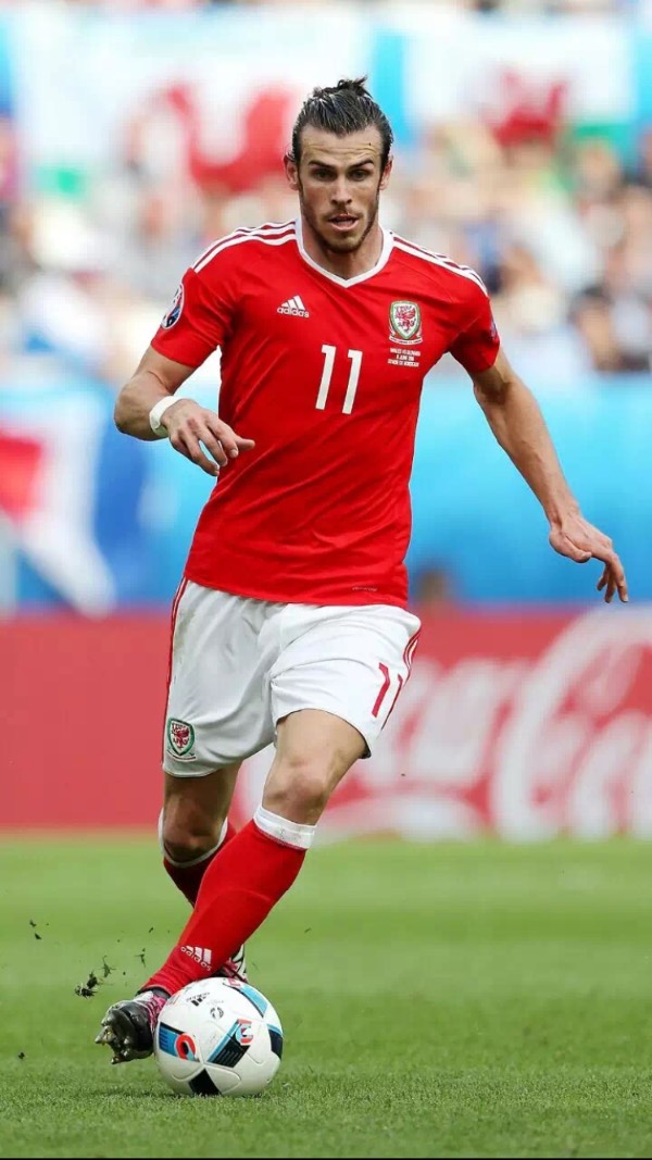 主力回归 主力回归