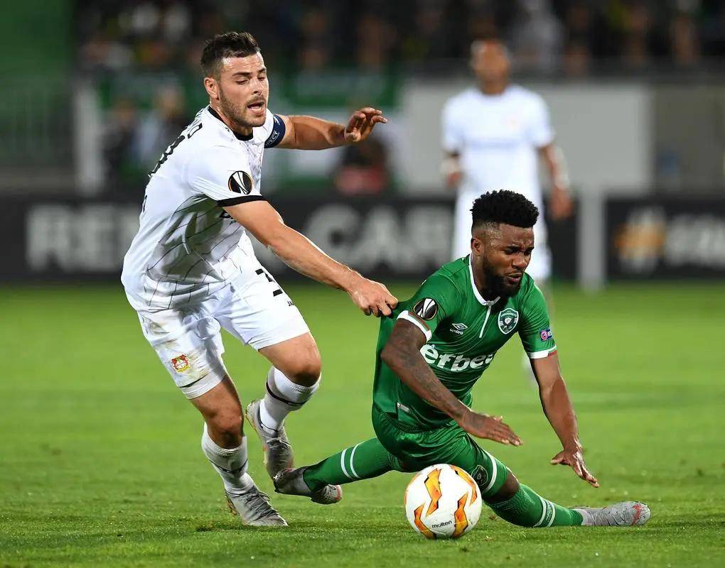 明星球员的 明星球员的