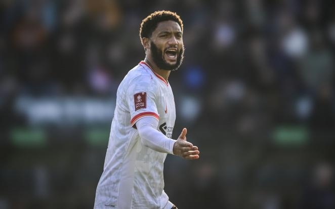 拜仁在未来 拜仁在未来